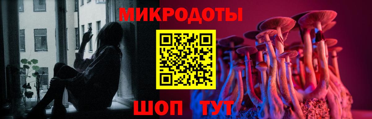 Псилоцибиновые грибы мухоморы Крымск
