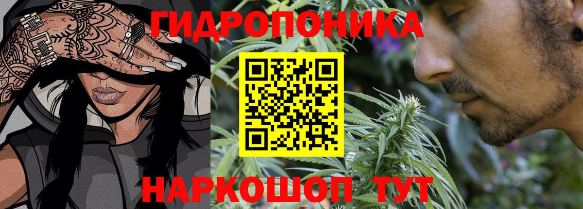 Шишки марихуана OG Kush Крымск